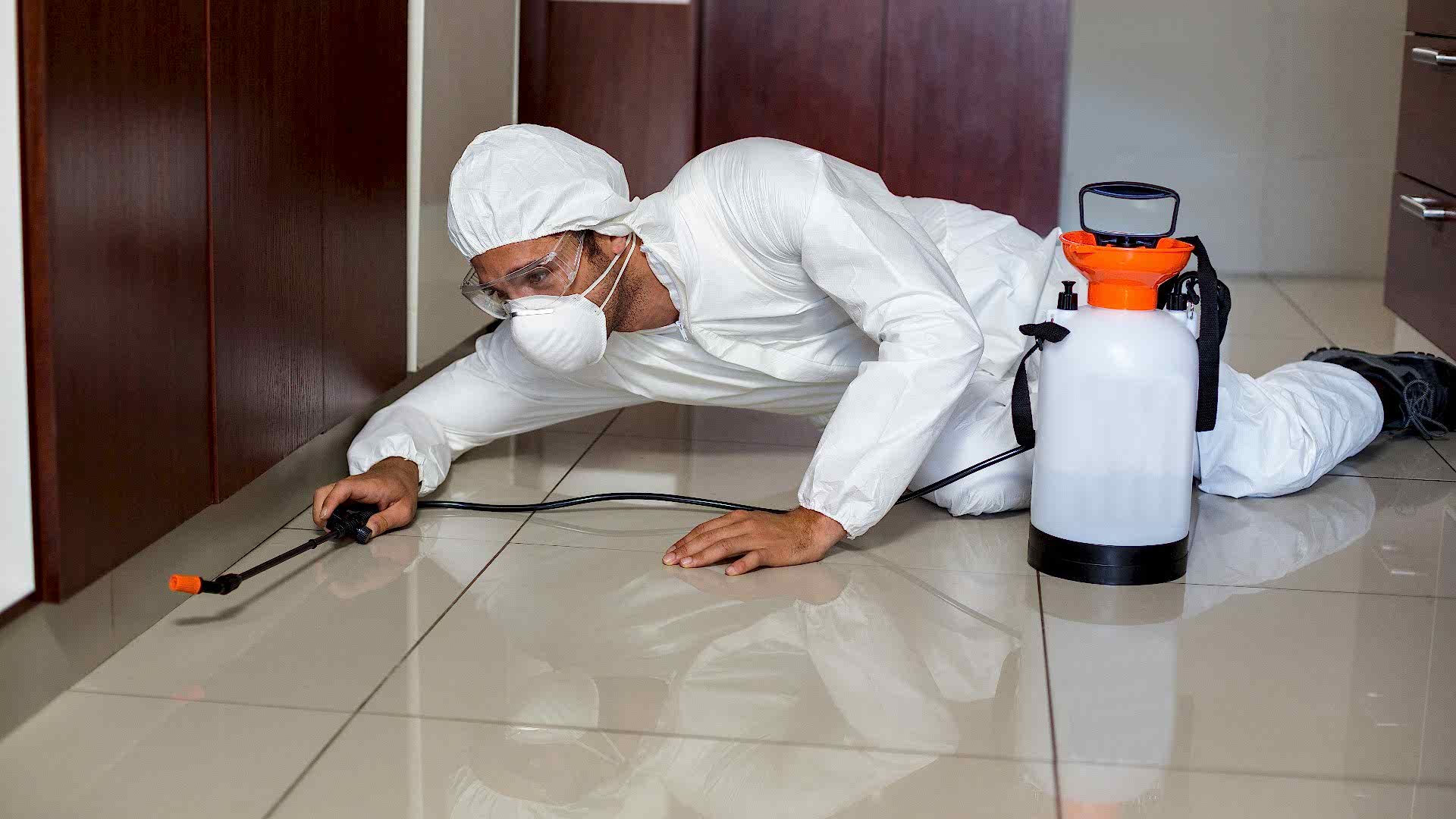 Böcek İlaçlama Hizmetimiz